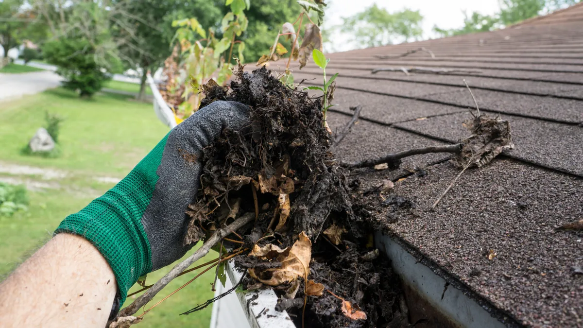 Professional gutter cleaning service